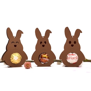 Süßer Osterhase Gastgeschenk Ostern Geschenkanhänger Hase Mitbringsel Tischdeko Osterdeko Frühling Osterschmuck für Pralinen Bild 1