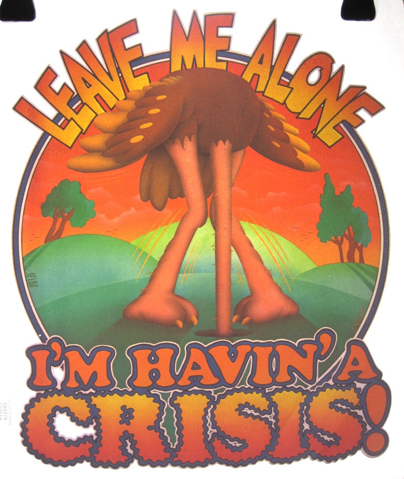 Vintage Leave Me Alone I'm Having A Crisis Heat-Transfer Roach 1970's image 1