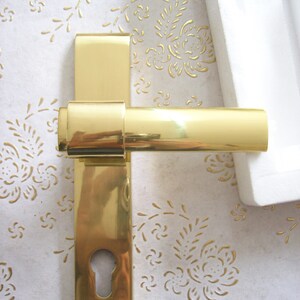 May include: A polished brass door handle with a keyhole and a lever. The handle is mounted on a white surface with a floral pattern.
