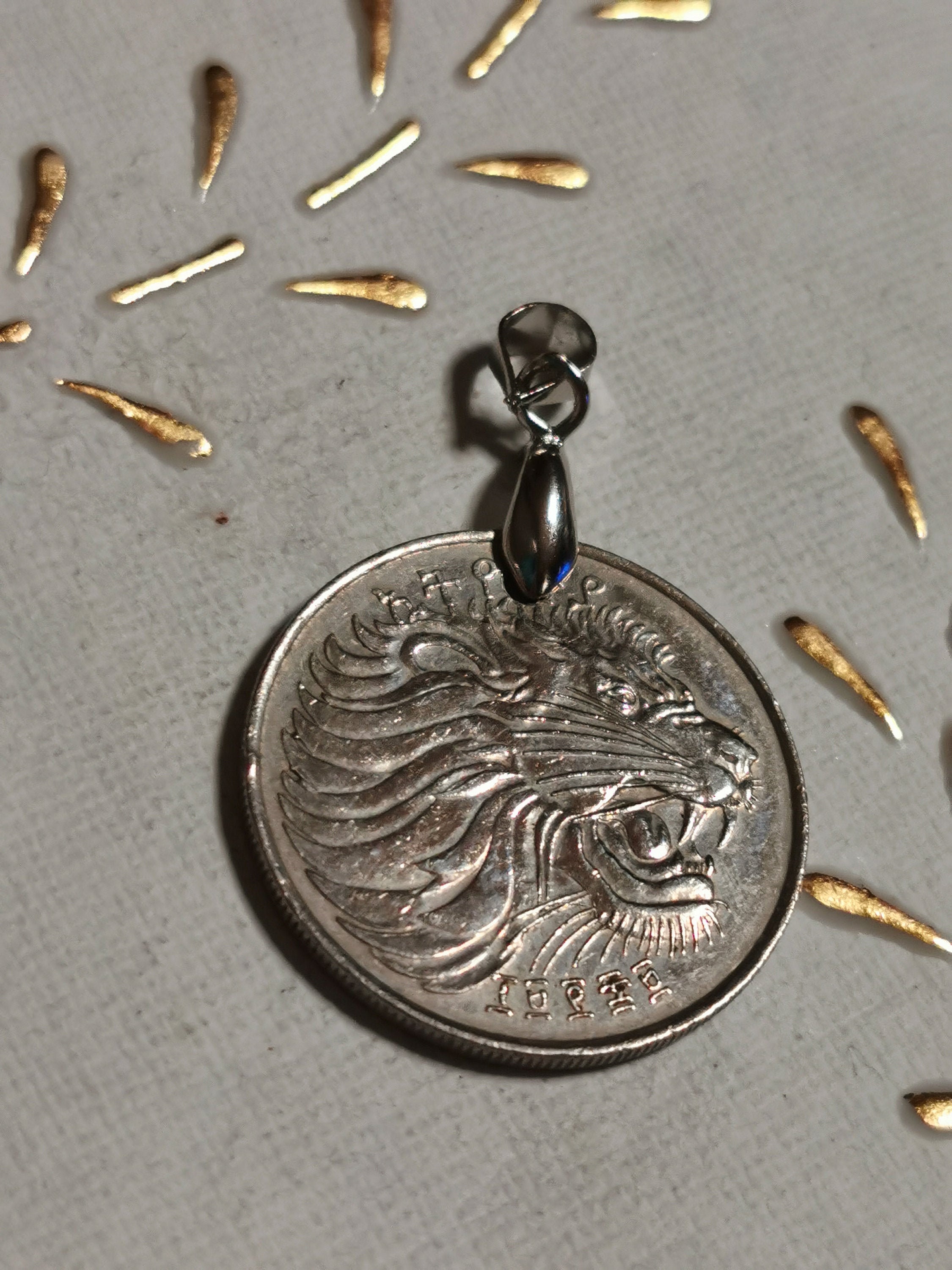 Lion coin pendant Clearance