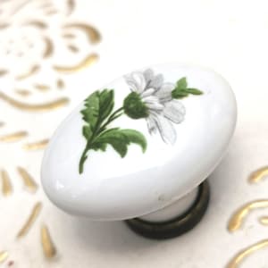 Può includere: Pomello ovale in ceramica bianca con un motivo floreale. Il pomello presenta un fiore bianco con foglie verdi. La base è di colore bronzo scuro. Il pomello è probabilmente per un cassetto o un armadio.