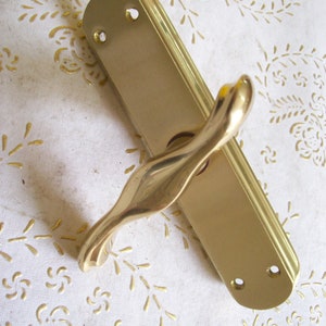May include: A gold-toned door handle with a decorative, twisted design. The handle is attached to a rectangular plate with two holes for mounting.