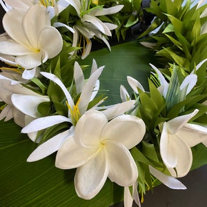 Real touch White plumeria and white spider lily haku lei po’o