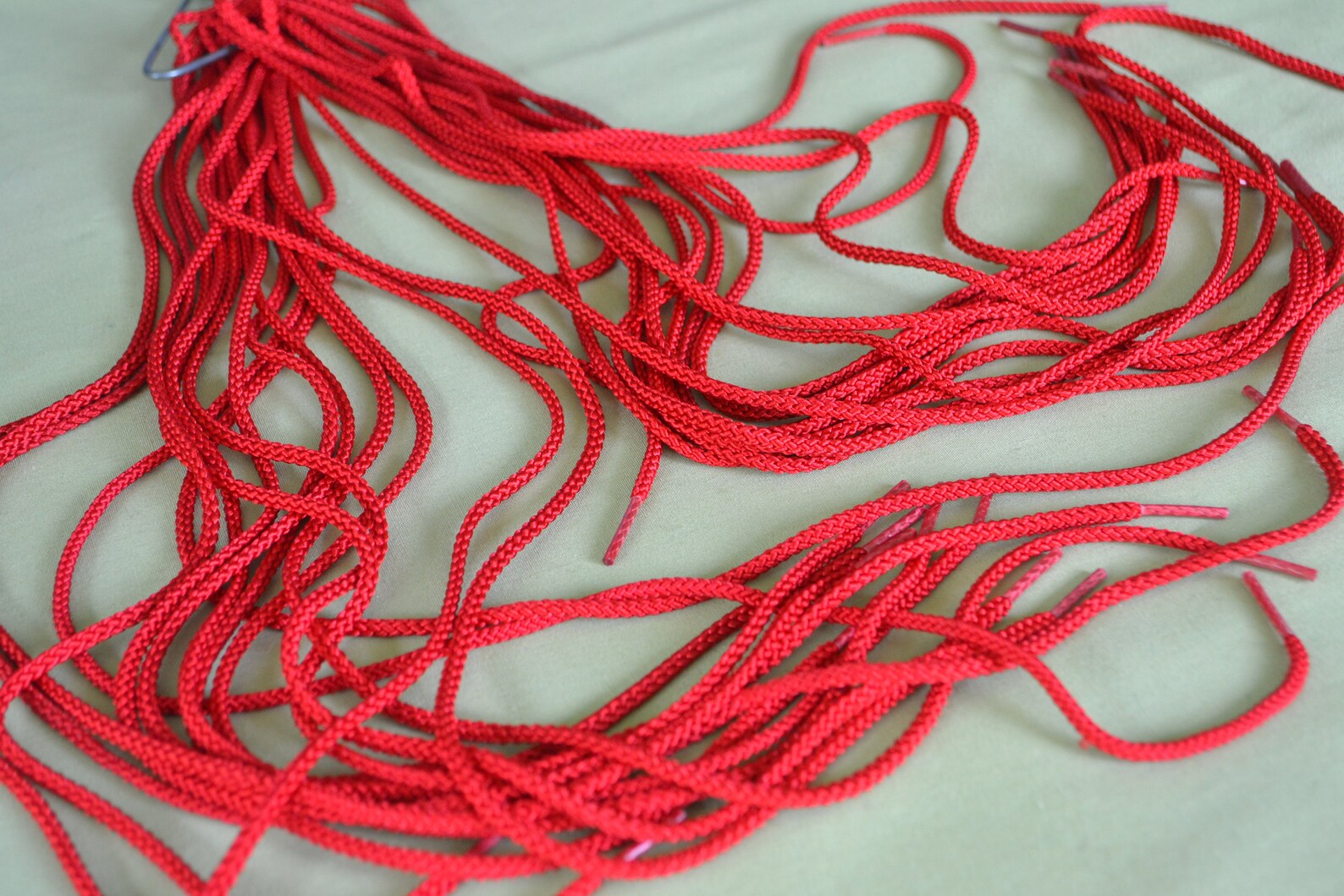 Two 39 Long Red shoe laces secured plastic ends with Etsy