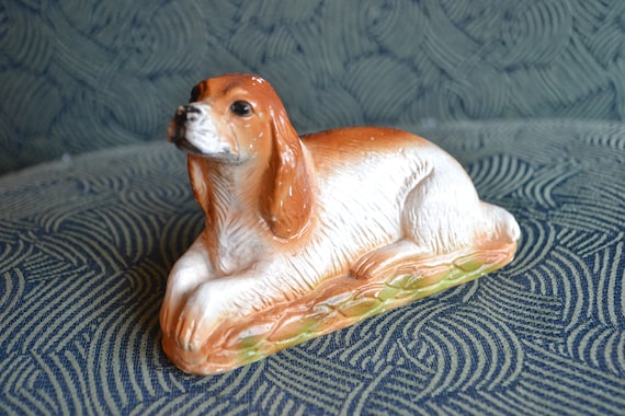 red and white english setter