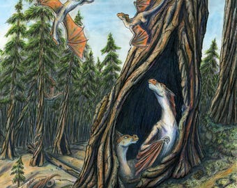 231 - Hidden Dragons - Sequoia Tree Dragons - Kings Canyon National Park  Fantasy Art Print