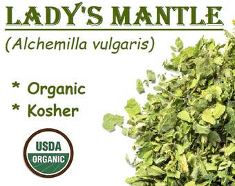 Organic LADY'S MANTLE Herb - Alchemilla vulgaris