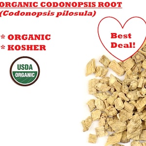 RACINE DE CODONOPSIS biologique - Codonopsis pilosula