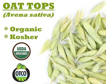 Organic OAT TOPS - Avena Sativa herb