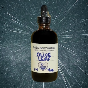Organic OLIVE LEAF Tincture - Olea europaea Herbal Extract
