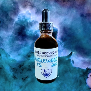 Organic BUGLEWEED Tincture - Lycopus americanus Herbal Extract
