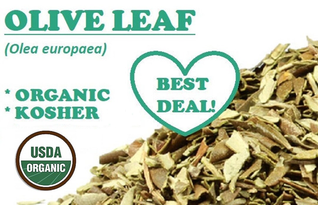 Organic OLIVE LEAF Herb Olea Europaea Herbs Ounce Oz Bulk Etsy