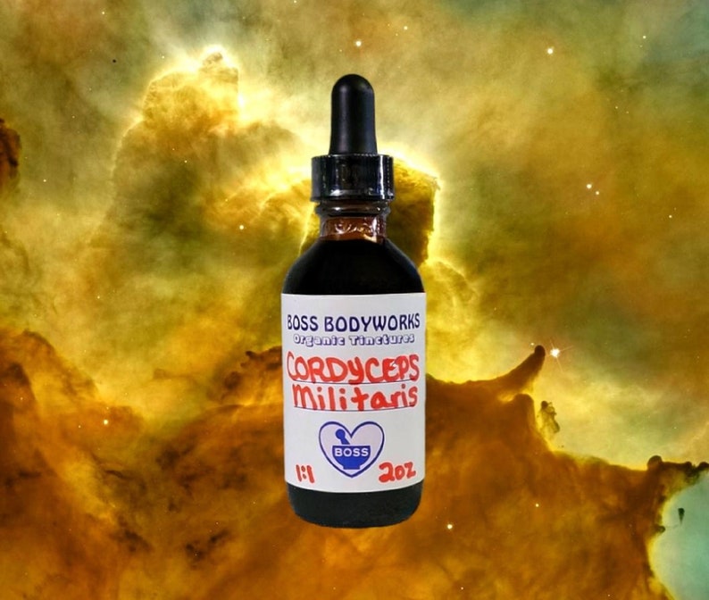 Organic CORDYCEPS MILITARIS Tincture Double Extraction image 1