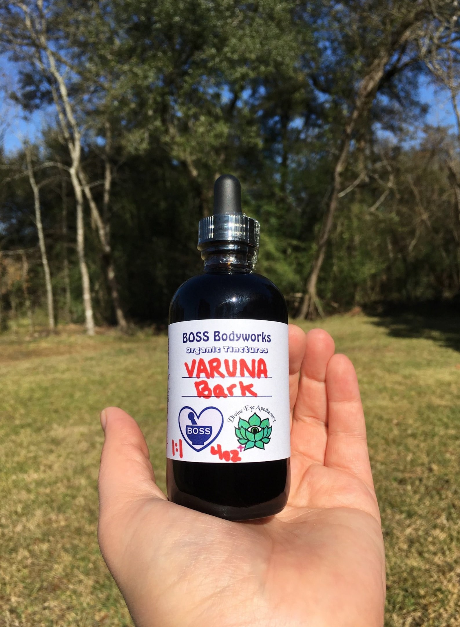 Organic VARUNA BARK Extract Crataeva Nurvala Herbal Etsy Singapore