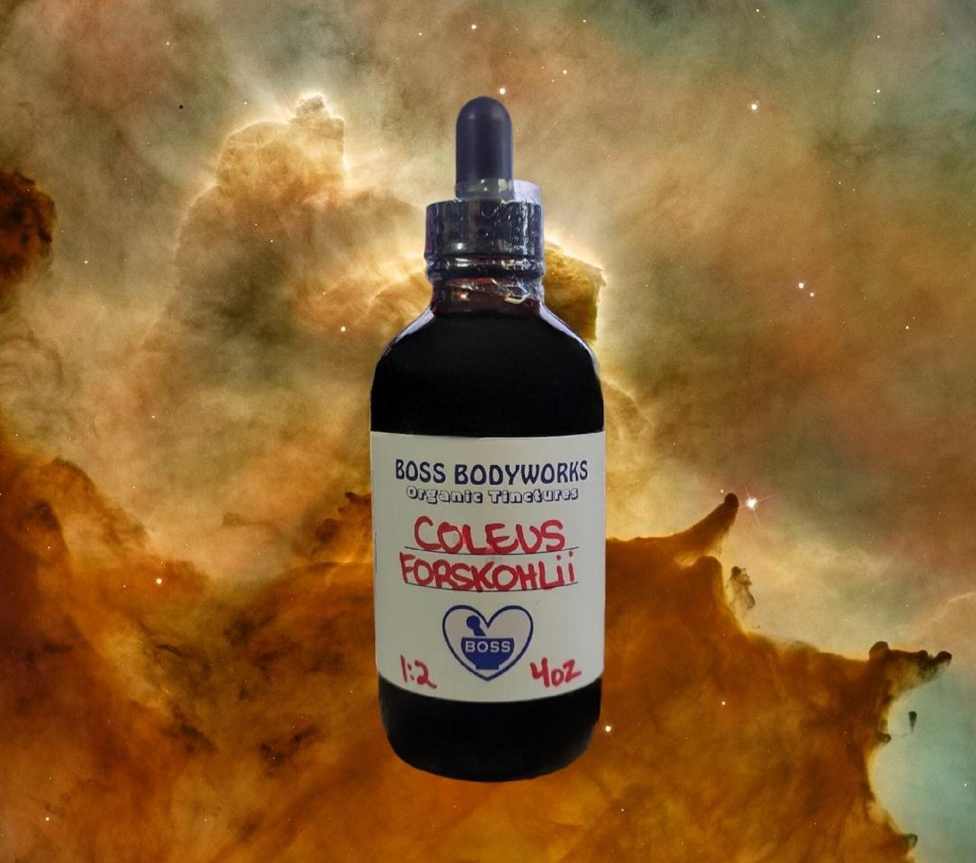Organic COLEUS FORSKOHLII ROOT Tincture - Ayurvedic Herbal Extract