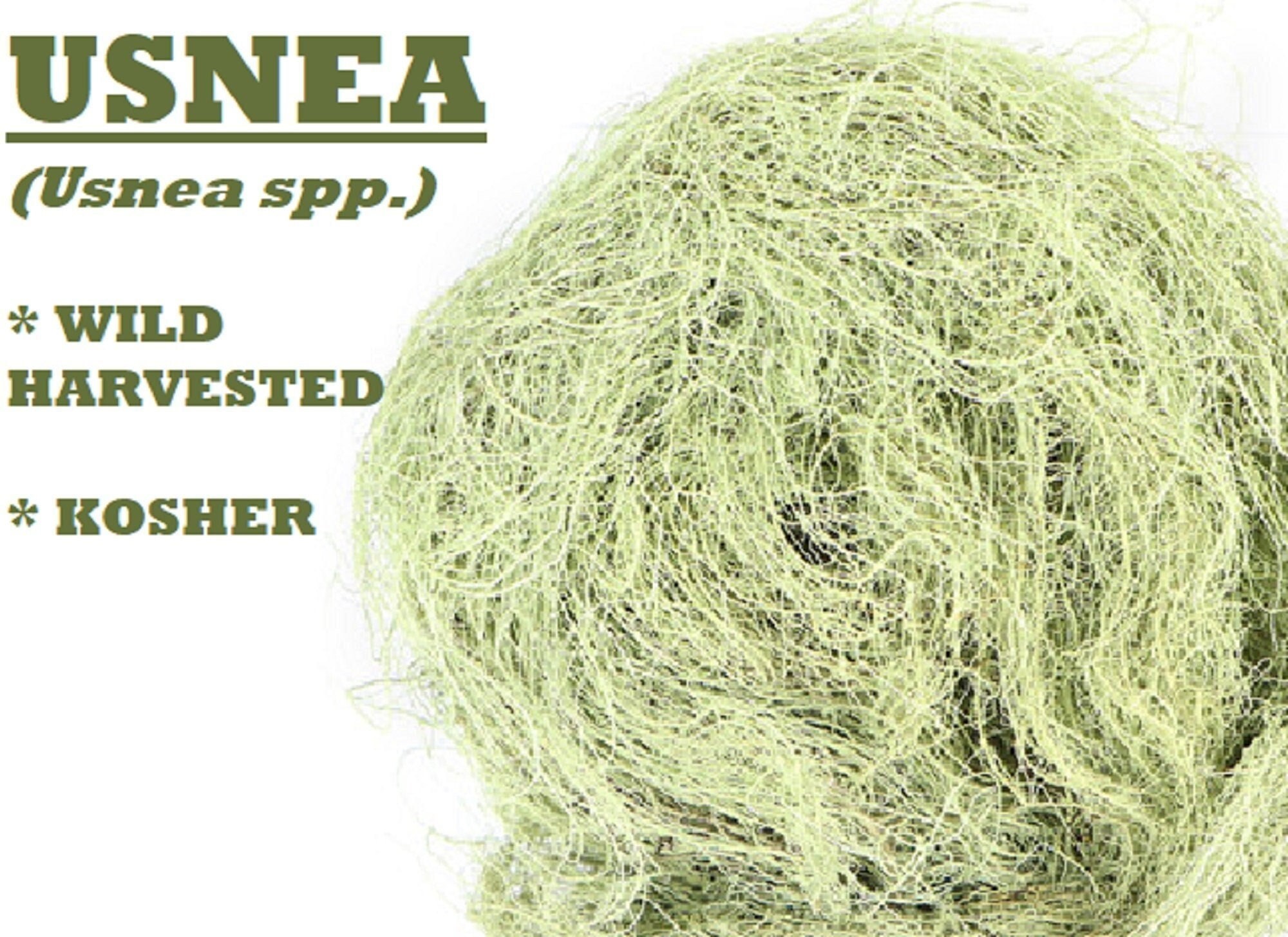 Wildharvested USNEA - Old Man's Beard, Usnea spp.