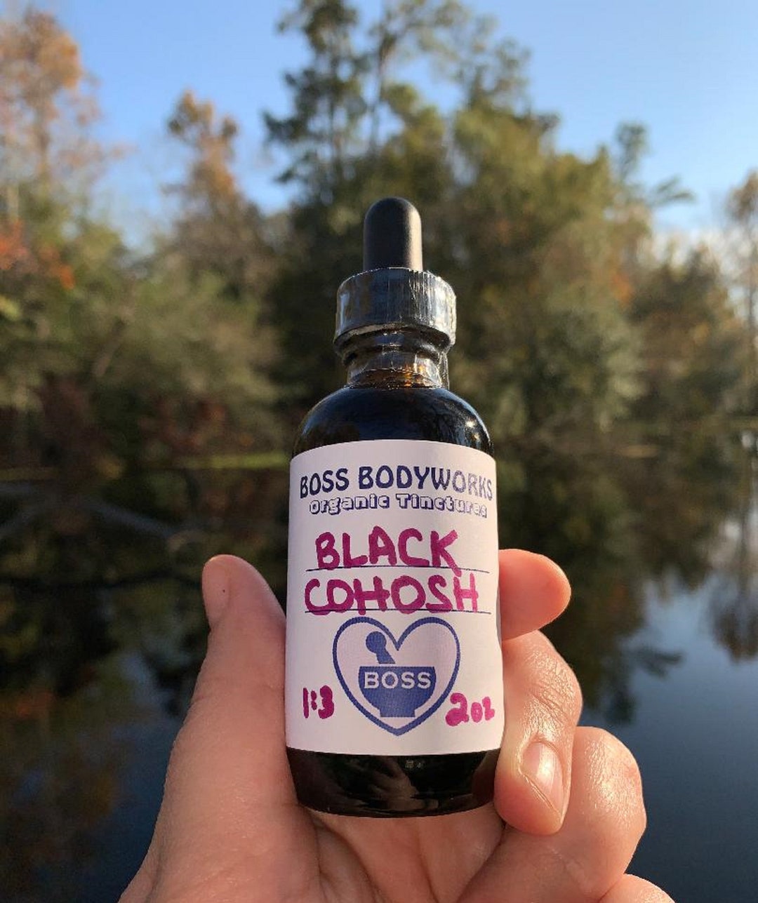 Organic BLACK COHOSH ROOT Tincture Actaea Racemosa Herbal Extract Etsy