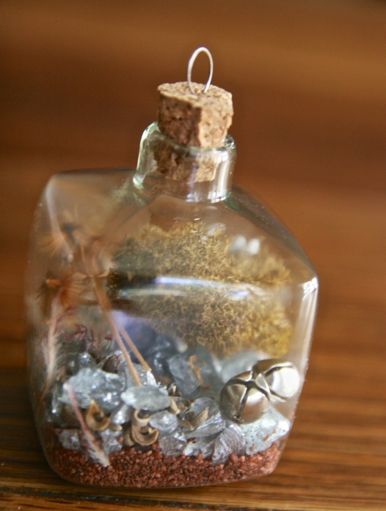 OOAK square glass terrarium Christmas ornament seed bomb