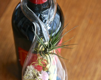 OOAK glass terrarium wine bottle charm with air plant by Flower Power Nation
