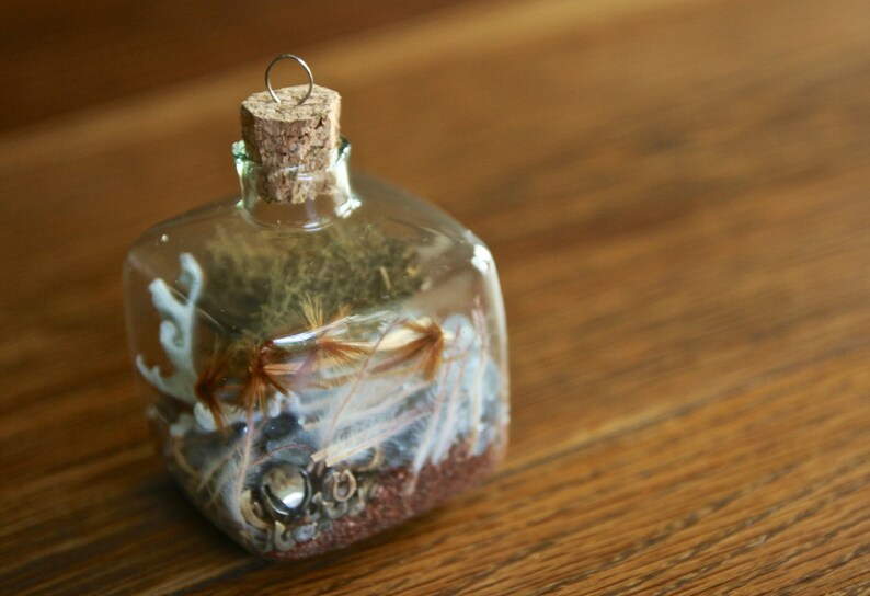 OOAK square glass terrarium Christmas ornament seed bomb