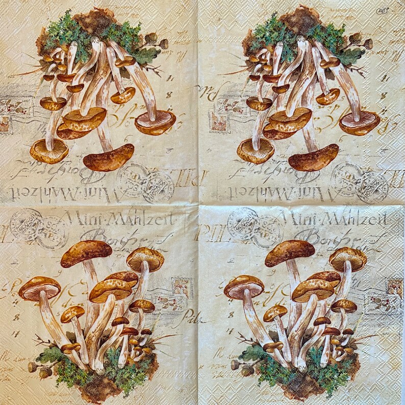 Wild Mushroom Napkin Paper Napkins Decoupage Paper Napkins - Etsy