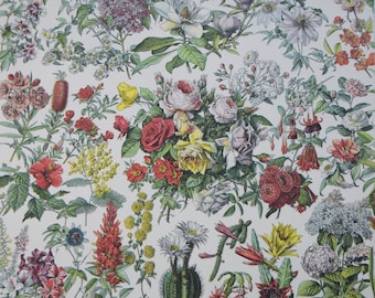 Botanical Print Paper: Vintage Floral Collage Sheets (2pc)