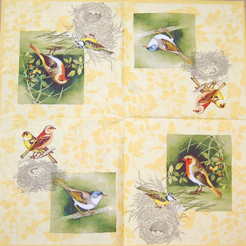 Bird Paper Napkin Large Napkin Set of 3 Napkins Decoupage Etsy