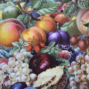 Botanical Fruit Paper: Vintage Decoupage, Junk Journal (Two 8.5x11 Sheets)