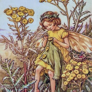 Fairies and Flowers, Fairy Postcard, Fairy Art, Postcard Art, Vintage Style Illustration, Collage Paper,  Ephemera Postcard,