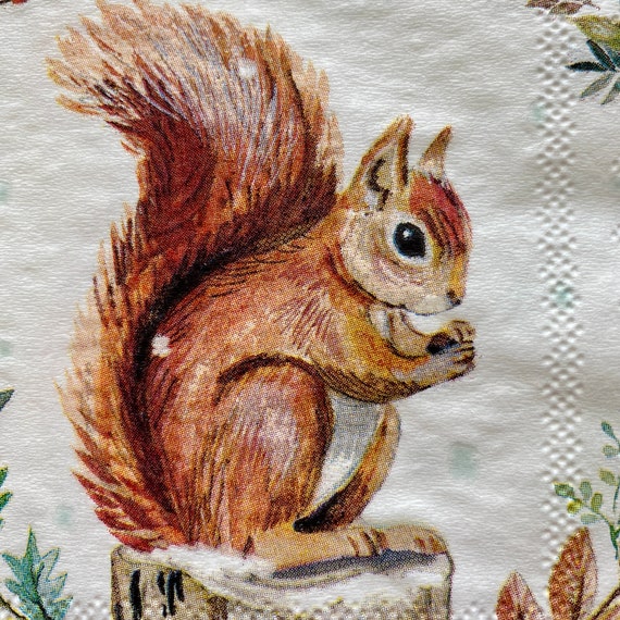 Vector Ilustración De Linda Ardilla Regalo Caja Para Ftivo Niño