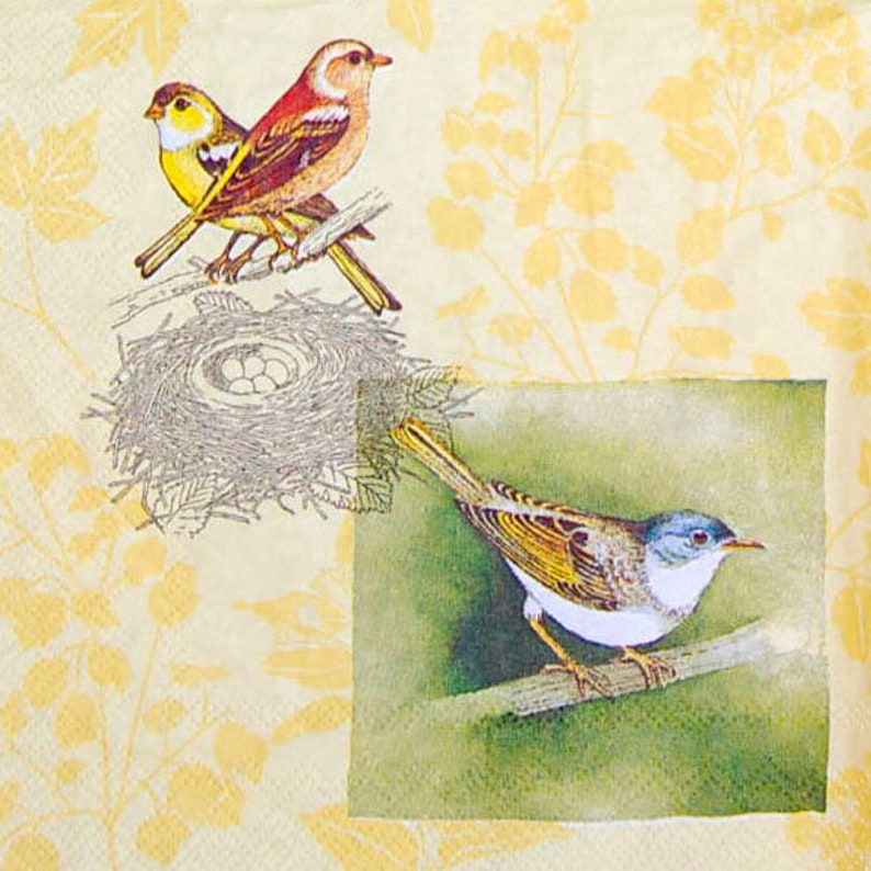 Bird Paper Napkin Large Napkin Set of 3 Napkins Decoupage Etsy