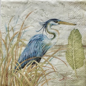 May include: A blue heron stands in tall grass with a map of the Caribbean Sea in the background. The heron has a long neck and beak, and its feathers are a mix of blue, gray, and white.