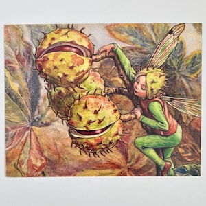 Fairy and Green Seed Pods, Fairy Postcard, Fairy Art, Postcard Art, Vintage Style Illustration, Collage Paper,  Ephemera Postcard,