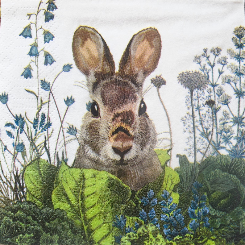 3 Decoupage Napkins Bunny Rabbit Paper Napkin Floral Paper Etsy