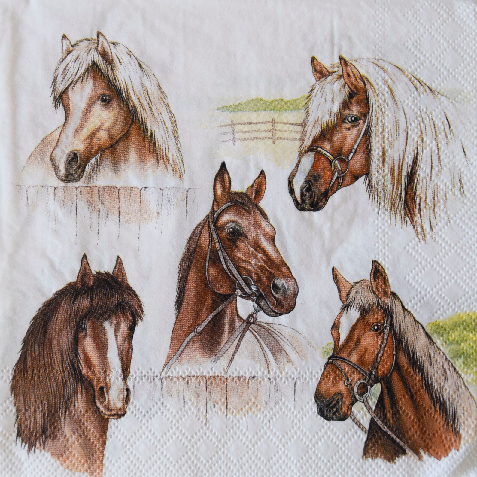 Horse Napkins 3 Large Decoupage Napkins Farm Animal Horse Etsy