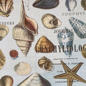 Botanical Print Paper, Sea Shells, Shell Paper, Collage Paper, Ocean ...