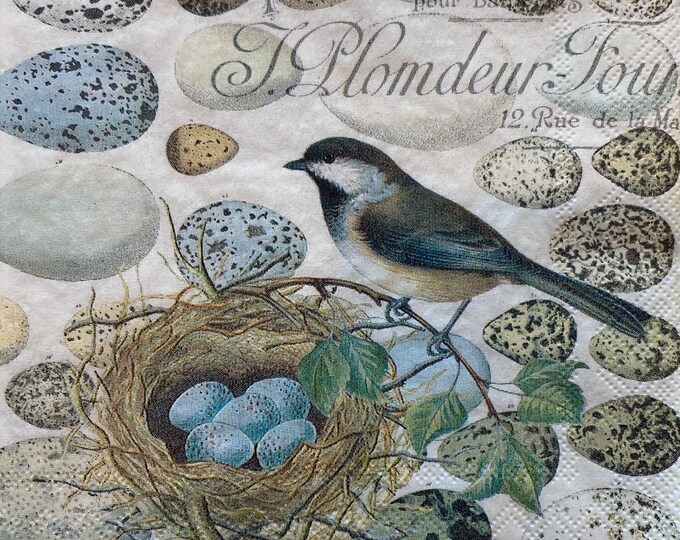 3 Decoupage Napkins, Bird With Nest Napkin, Robins Eggs, Bird Paper