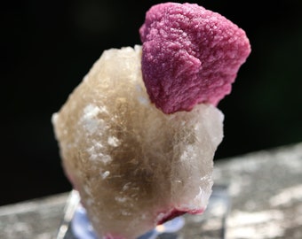 The cupcake Rubellite mushroom Tourmaline on a Quartz crystal. Khetchel, Malo, Burma. Beautiful combo specimen. 2 7/8 inch tall