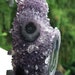 Jill Young reviewed A beautiful Lavender Amethyst Stalactite with polished eyes. Stand included 6 inches tall. Uruguay