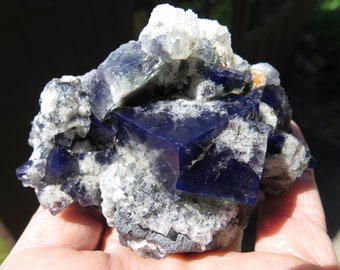 Twinned Crystal Fluorite with Galena: Diana Maria Mine, England 3.25 inch