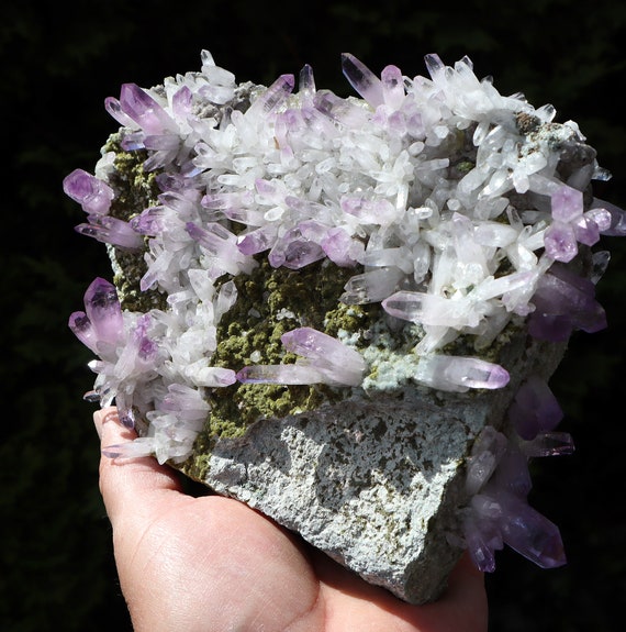 Outstanding Large Cabinet Amethyst with Epidote. Piedra Parada, Tatatila, Veracruz, Mexico. 8.25 inch across.