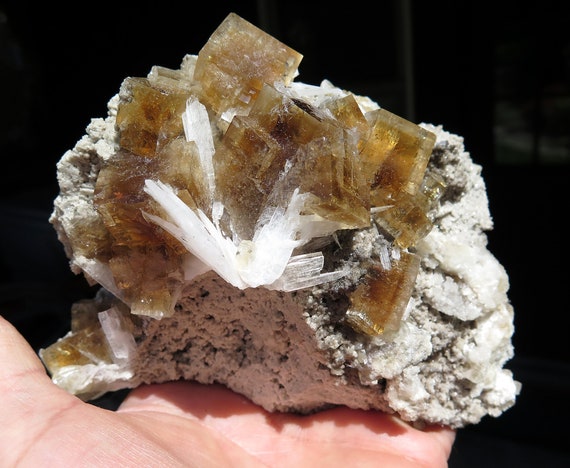 Translucent Fluorite with Celestite. Nice zoning. UV reactive. White Rock Quarry, Clay Center, Ottawa Co., Ohio USA 5.25 inch, base included