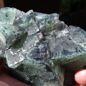 Color Change Fluorite. Poison Ivy Pocket, Lady Annabella Mine, Eastgate