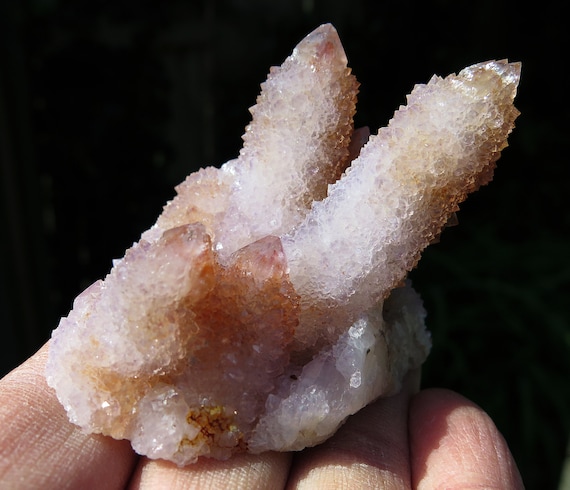 Spirit Cactus amethyst quartz. Boekenhoutshoek area, Mkobola, Nkangala District, Mpumalanga, Rep South Africa 2.5 inch