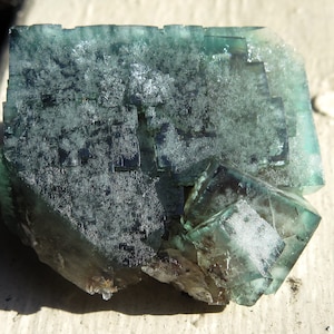 Color Change Fluorite. Poison Ivy Pocket, Lady Annabella Mine, Eastgate