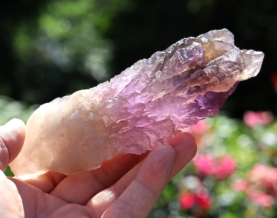 Gem Ametrine rough from our private stash. This is a complete floater with ZERO damage. Anahi Mine, Santa Cruz, Bolivia.