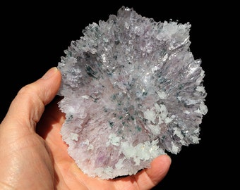 Quartz var. Amethyst Flower from Rio Grande do Sul, Brazil. Pristine condition. 5.5 inch across. Old 1980's collection