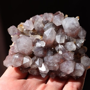 Gammal samling Fantom Hematit Kvartskluster. Orange River, Namibia. 10 cm