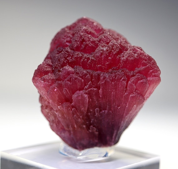 Perfect Mushroom Tourmaline, Rubellite. Large 71 grams. Khetchel, Malo, Burma
