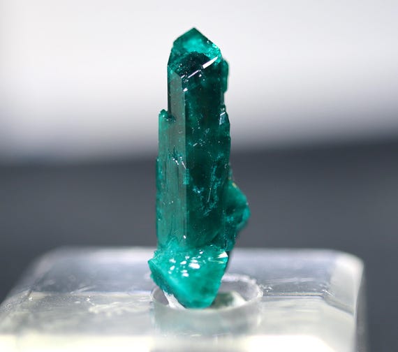 Tall Dioptase thumbnail crystal. Tantara mine, Democratic Republic of Congo.